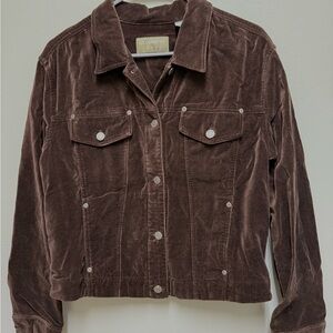 Liz Claiborne Chocolate Brown Velour Jacket